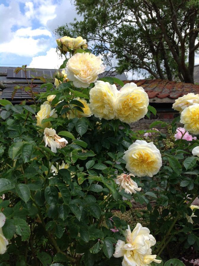 Orchard Cottage, Clematis Cottages, Stamford. Accessible Luxury Home. Bagian luar foto