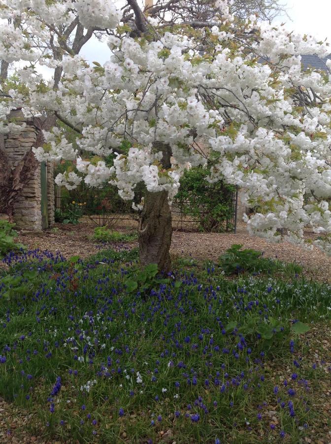 Orchard Cottage, Clematis Cottages, Stamford. Accessible Luxury Home. Bagian luar foto
